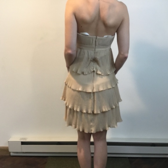 Anna Sui Tan Pleated Tiered Strapless Dress - Picture 4 of 8